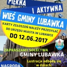 miniatura_konkurs-pikna-i-aktywna-wie-gminy-lubawka-drugi-przegld-wsi