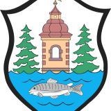 wolontariat-w-akcji